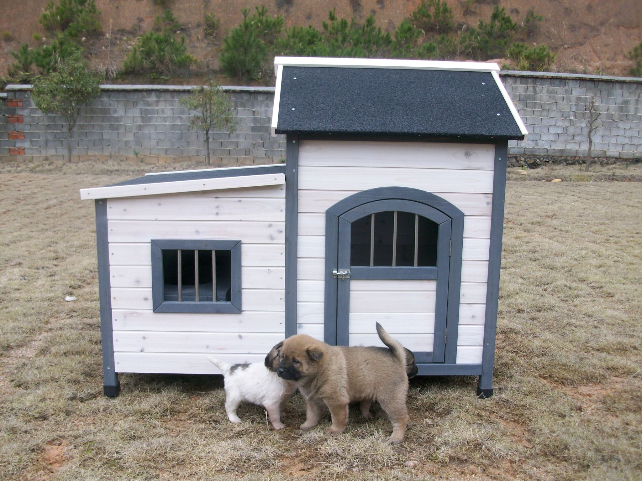 Outdoor dog house